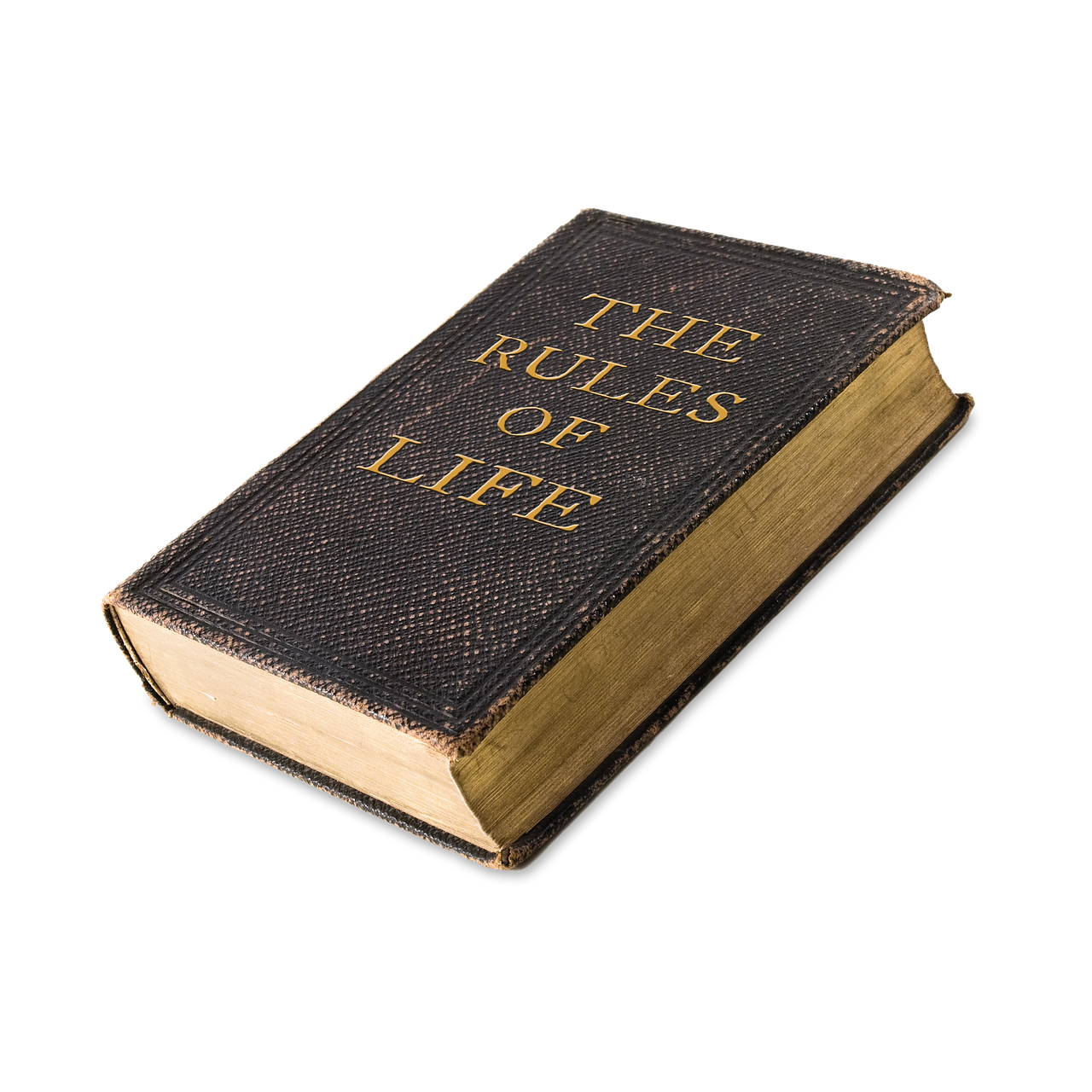 rules of life book