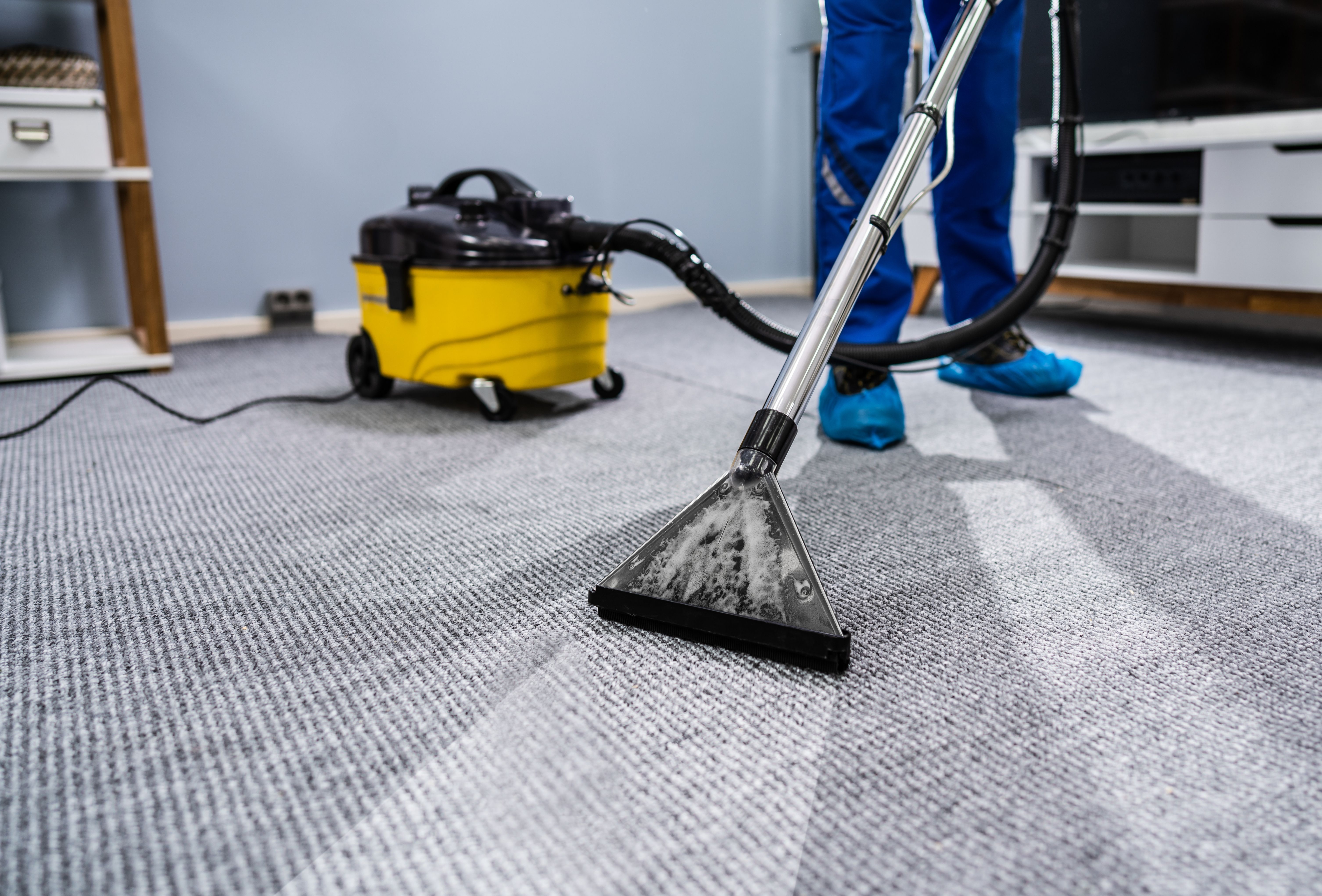 A professional cleaner refreshing a home’s entrance and shared spaces for a cleaning service. A professional cleaner refreshing a home’s entrance and shared spaces for a cleaning service.