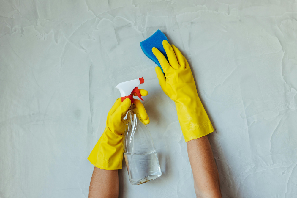 Maid Services