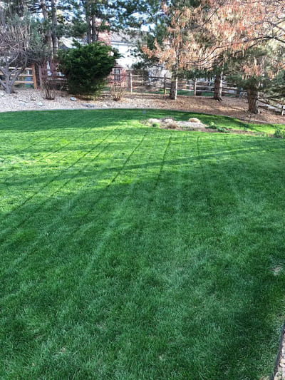 Sprinkler Repairs in Centennial, CO
