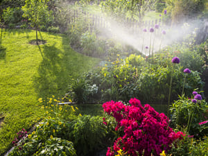 Sprinkler Activation in Highlands Ranch, CO