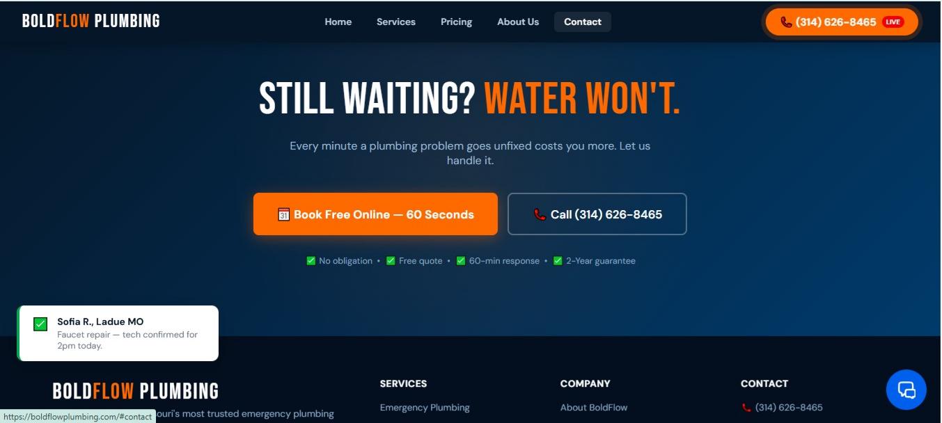 BoldFlow Plumbing 2