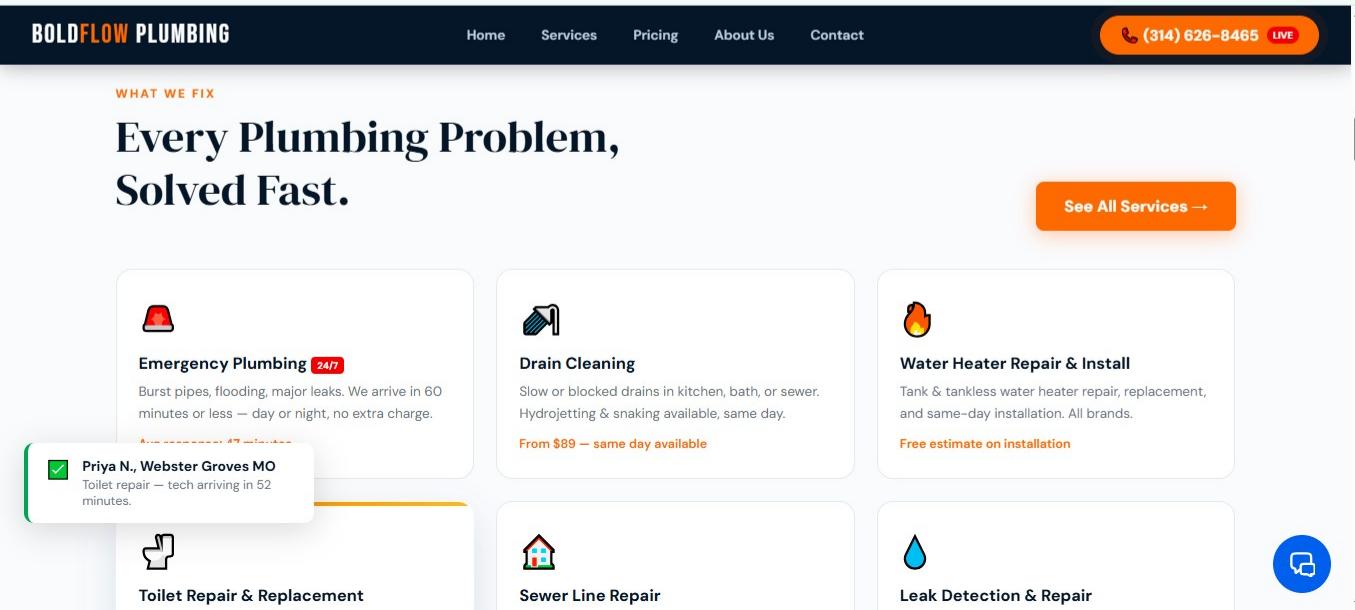 BoldFlow Plumbing 5