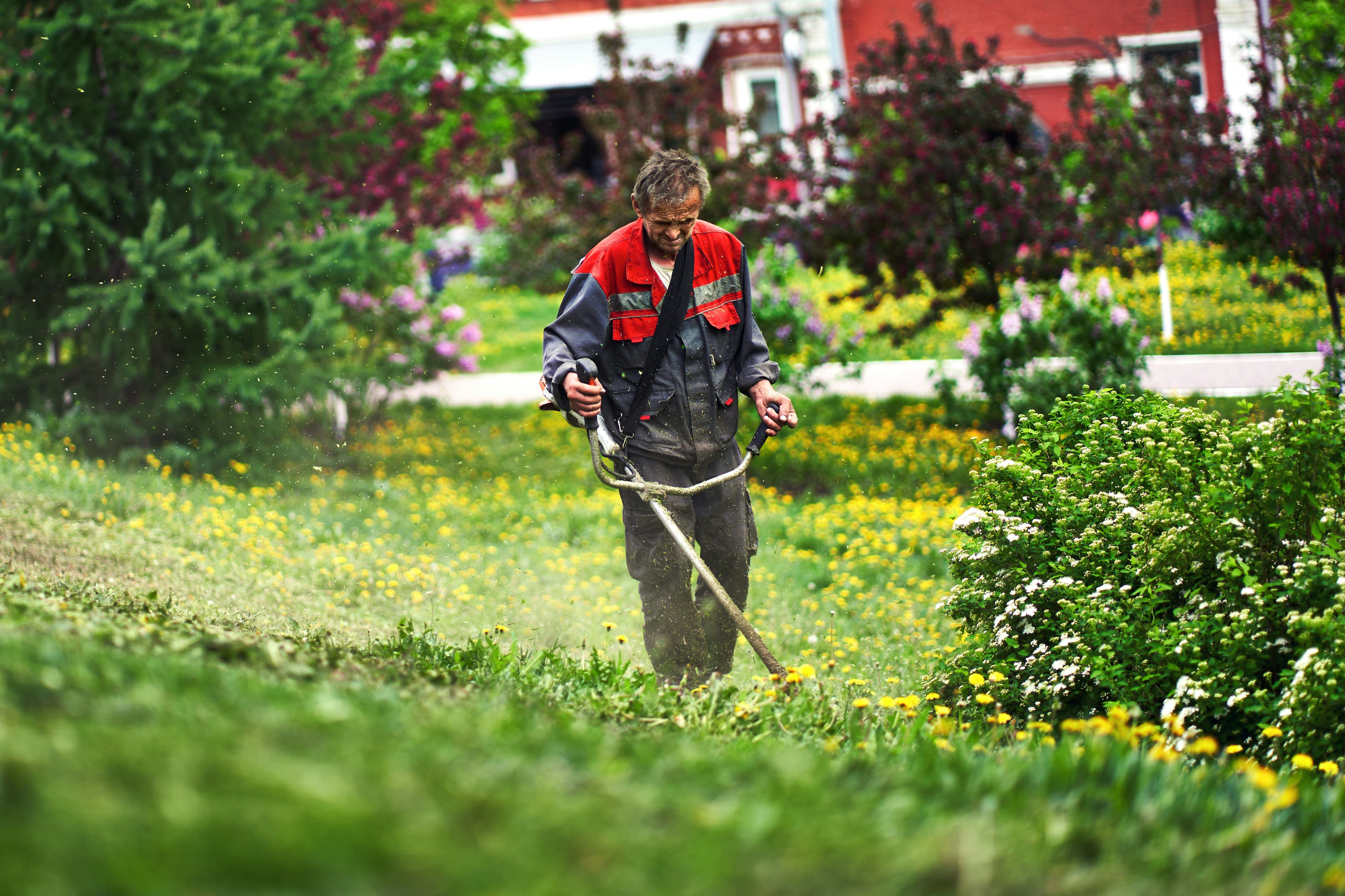 Garden Edging