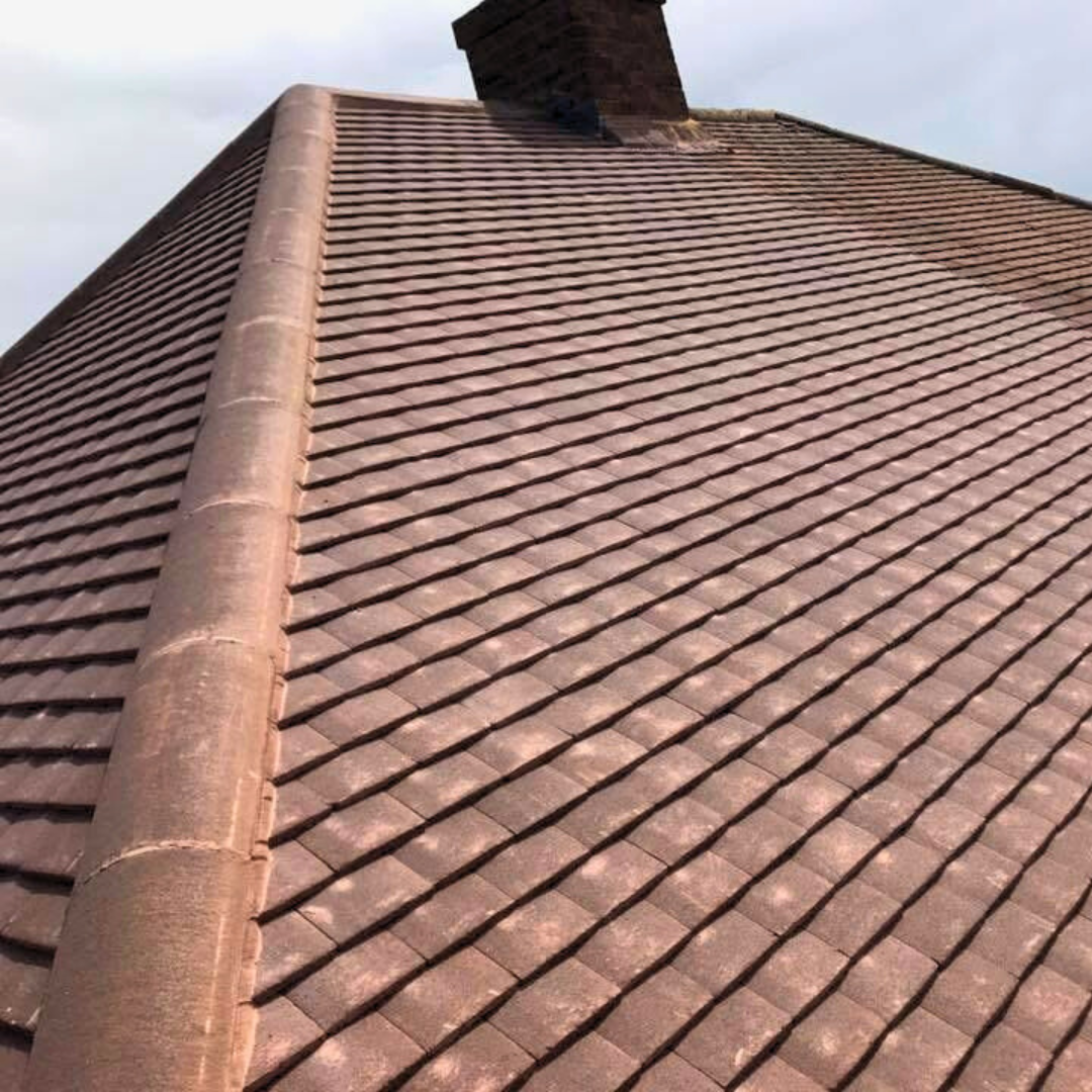 Recent roof project