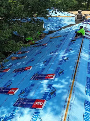 {{ custom_values.service_1 }} in {{custom_values.area_5})