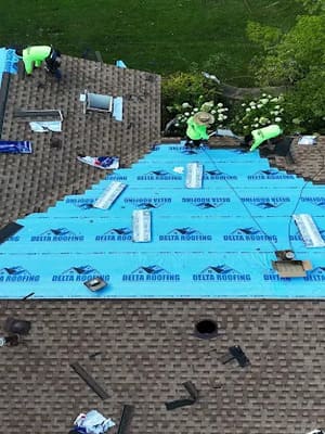 {{ custom_values.service_3 }} in {{custom_values.area_5})