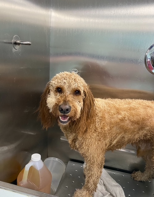 Haircut and Styling Fort Lauderdale