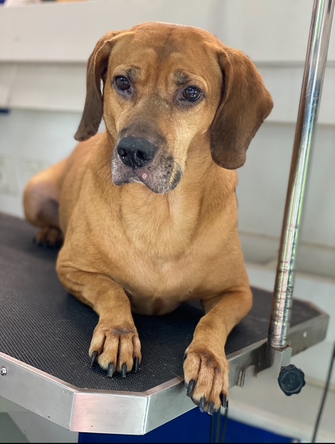 Riverland Nail Trimming