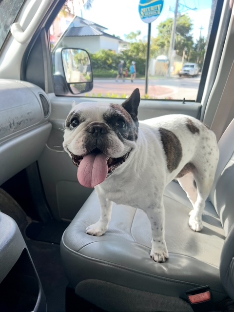 Croisant Park Nail Trimming