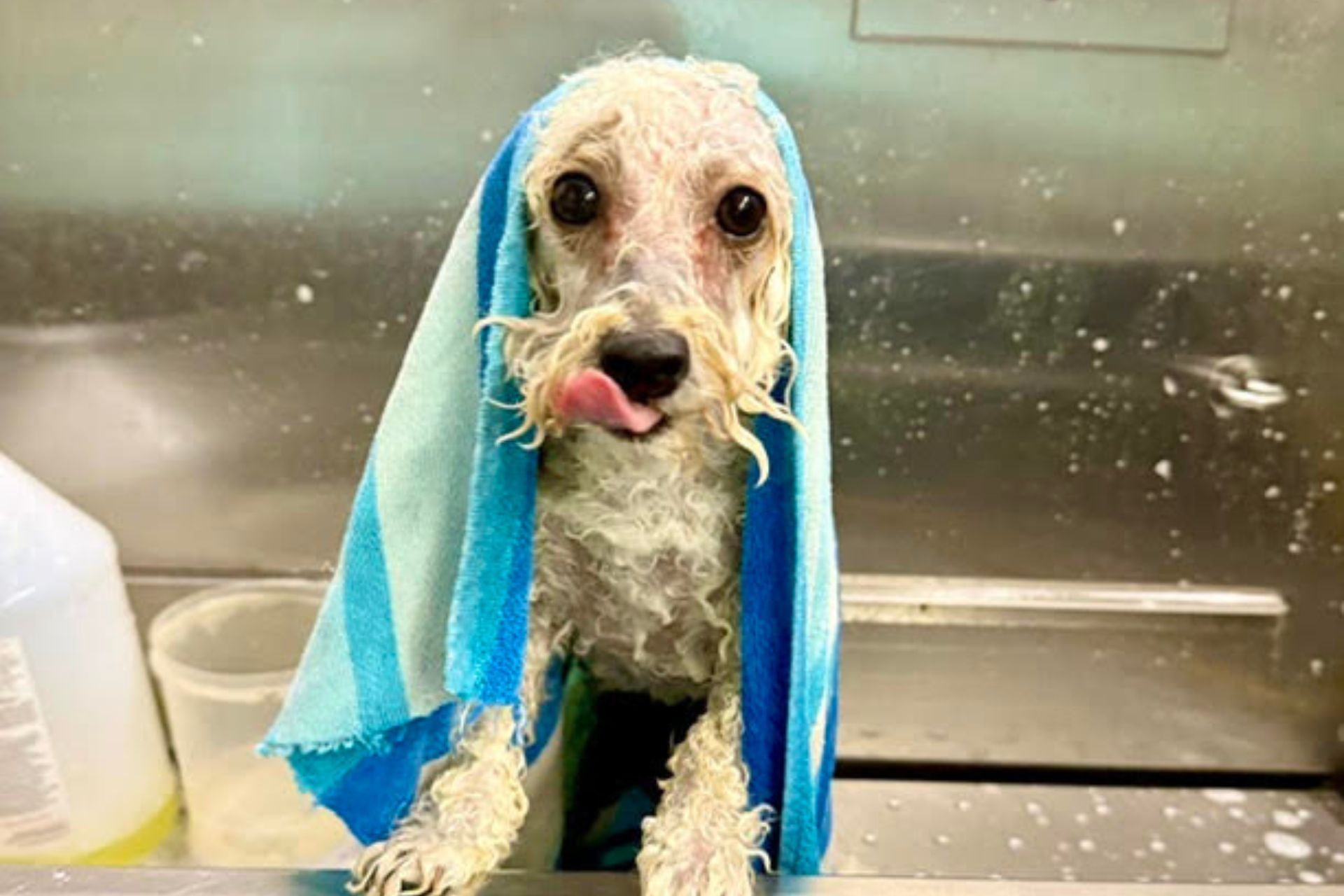 {{ custom_values.service_1 }} in {{custom_values.biz_area_1})