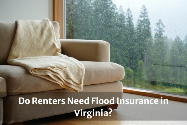 Early spring rain in Virginia apartment complex Early spring rain in Virginia apartment complex