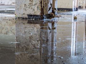 {{ custom_values.service_1 }} in {{custom_values.area_1})