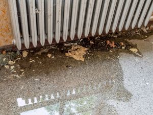 {{ custom_values.service_3 }} in {{custom_values.area_3})