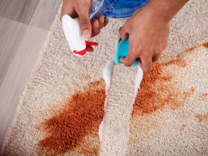 {{ custom_values.service_1 }} in {{custom_values.area_2})