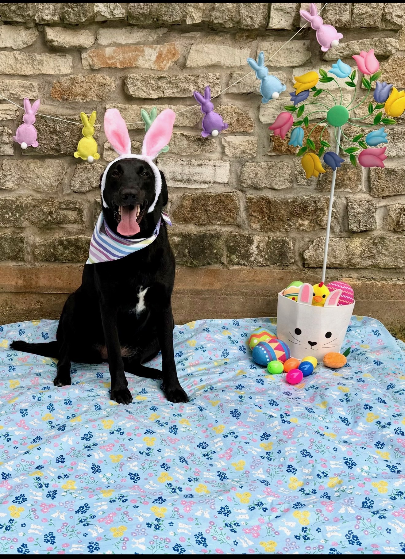 Cassie with bunny ears