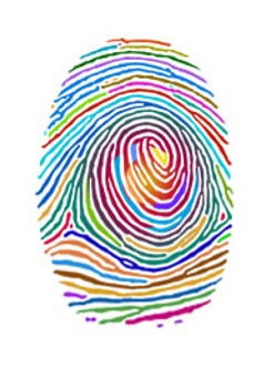 Test three: calibrating your own pursuits