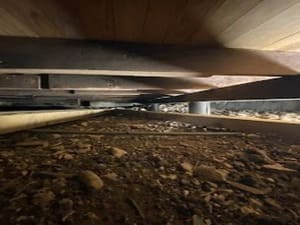 {{ custom_values.service_1 }} in {{custom_values.area_2})