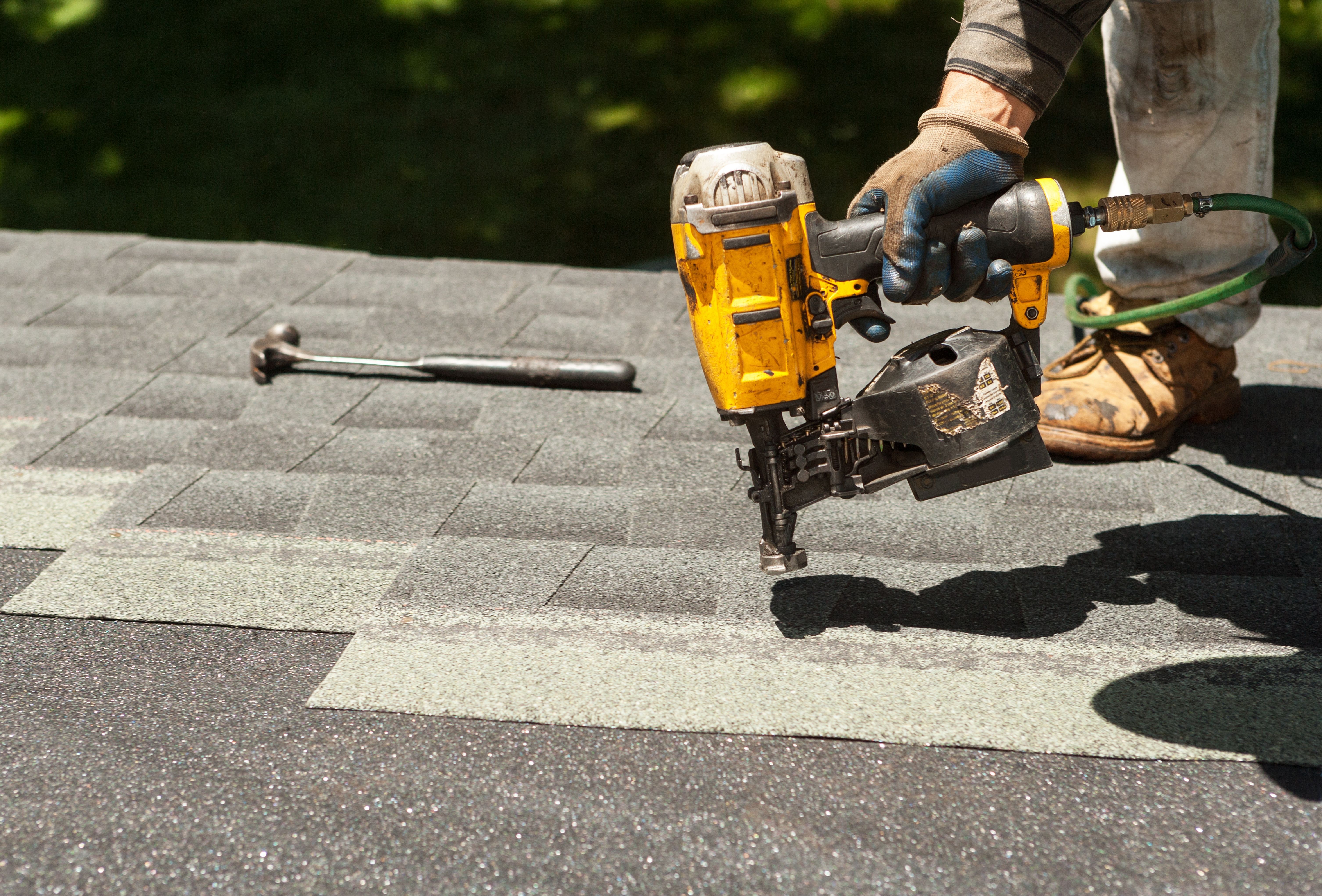 A roofer aligning asphalt shingles under warm sunlight during a roof replacement in Wisconsin. A roofer aligning asphalt shingles under warm sunlight during a roof replacement in Wisconsin.