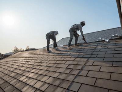  Lawn Repair & Restoration Service