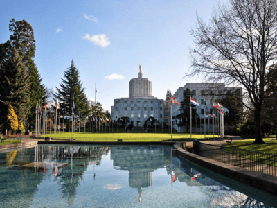 Salem Lawn Repair & Restoration Service