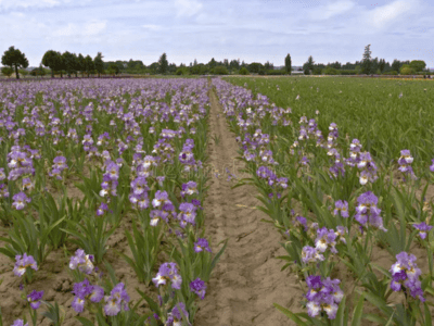  Home Remodeling & Improvement Solutions