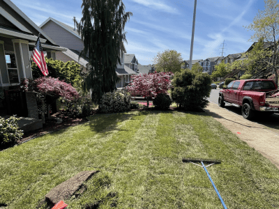 Lawn Repair & Restoration Service Salem