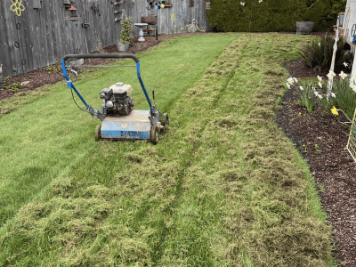 Lawn Repair & Restoration Service Salem