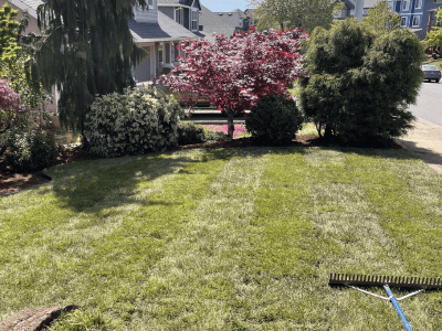 Siding Installation & Repair Services Salem