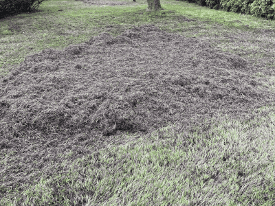 Interior & Exterior Painting Services Salem