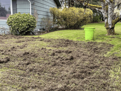 Residential Roofing & Roof Repair Services Salem