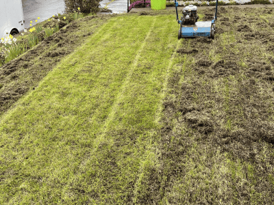 Residential Roofing & Roof Repair Services Salem