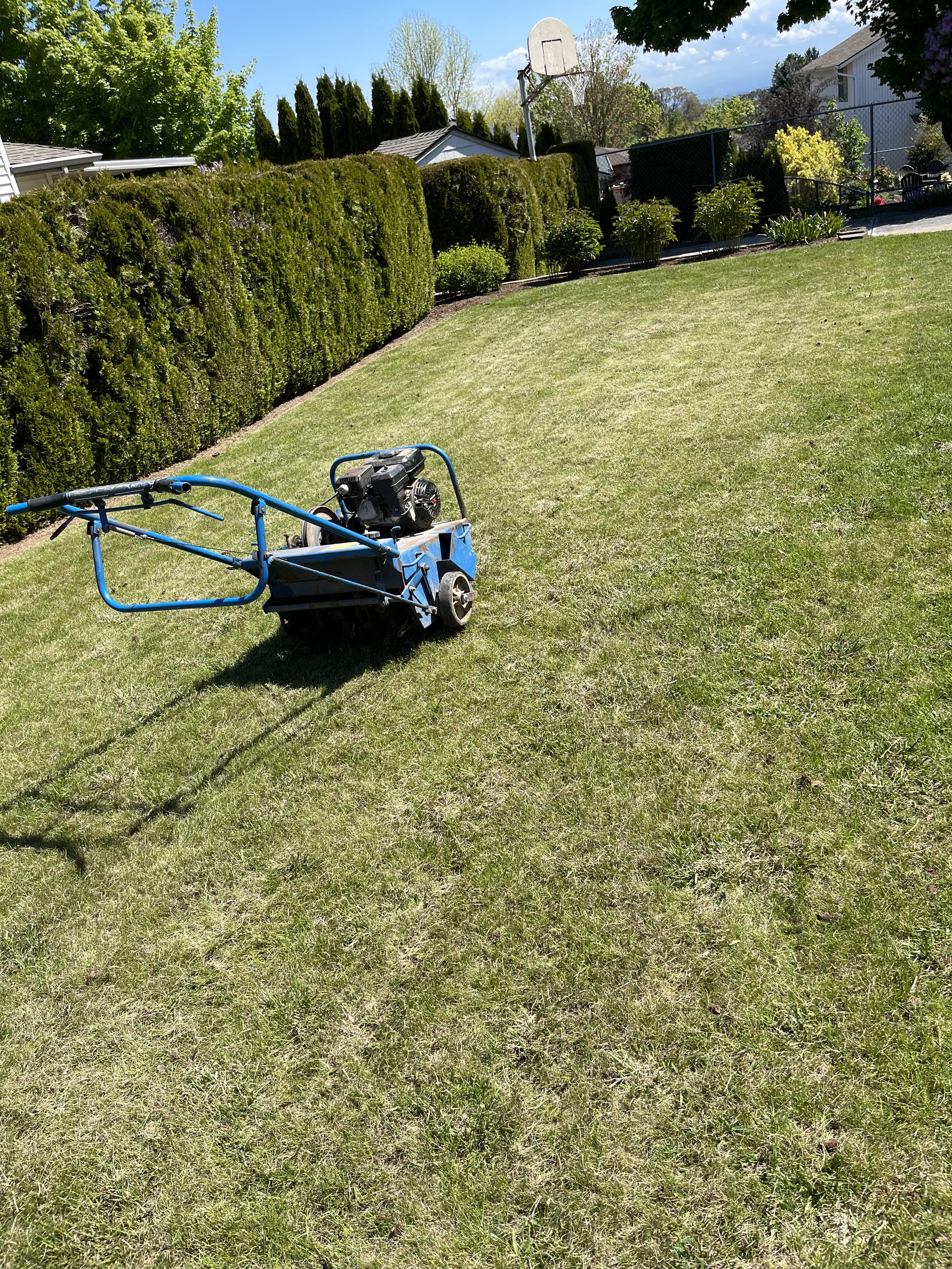 Tigard Lawn Repair & Restoration Service