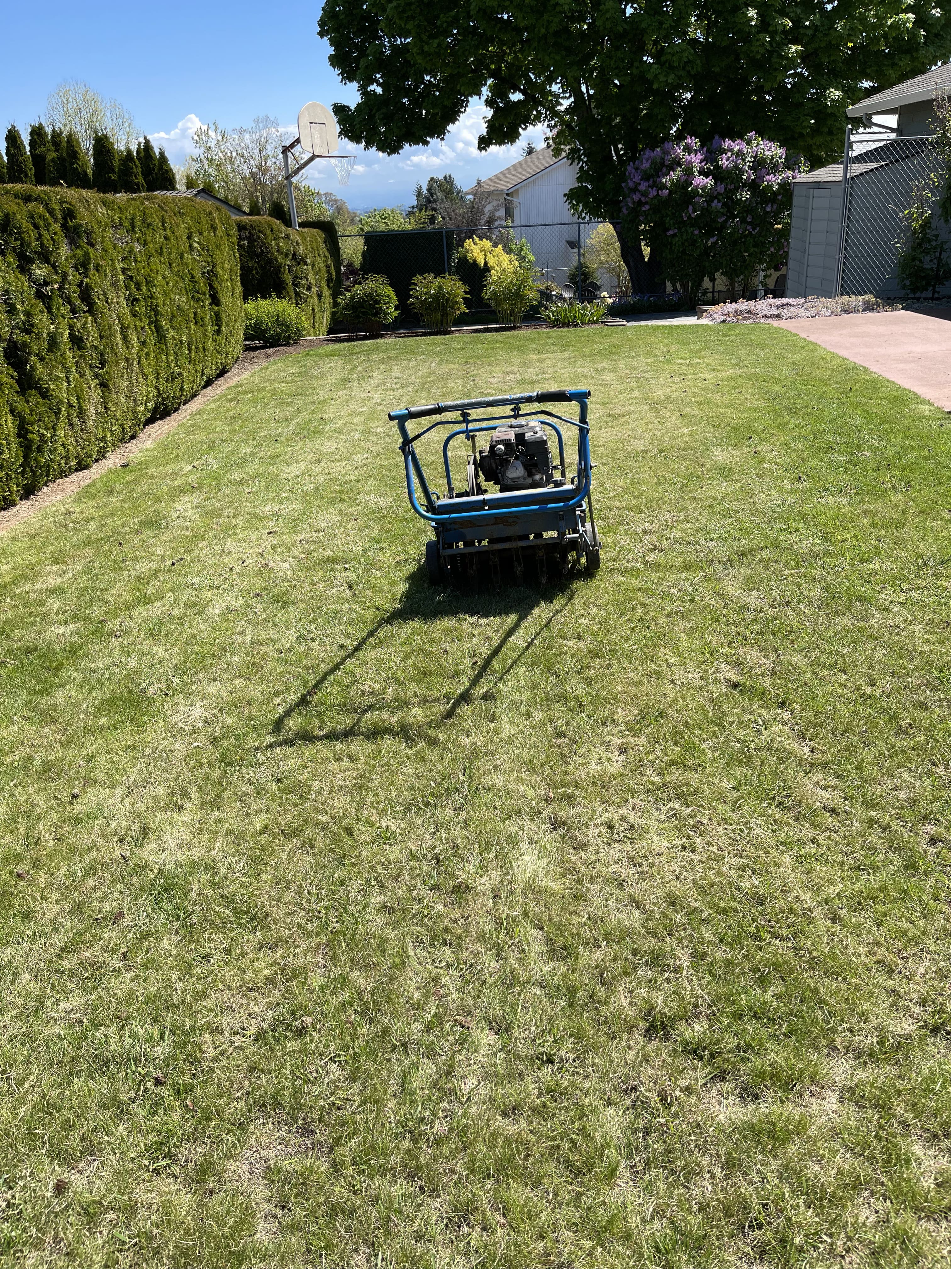  Lawn Repair & Restoration Service