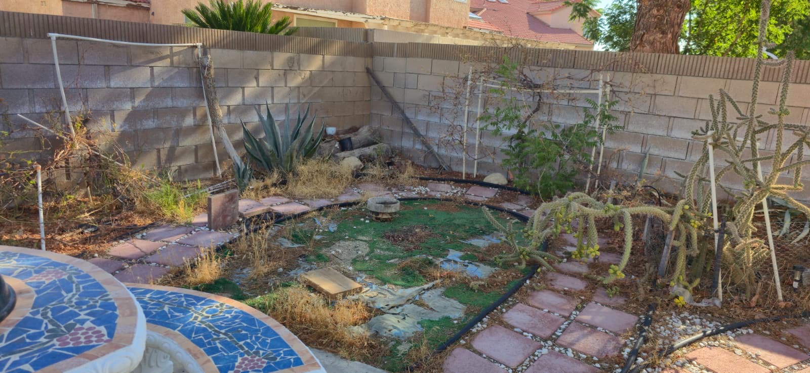An overgrown backyard with dried landscaping — the kind of deferred maintenance Astra Home Buyer accepts and renovates after closing