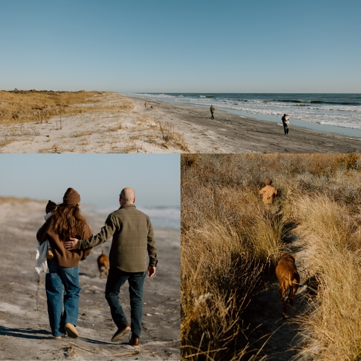 Dog running along the shoreline during a winter beach family session, with parents and children spaced out along the quiet coast.
