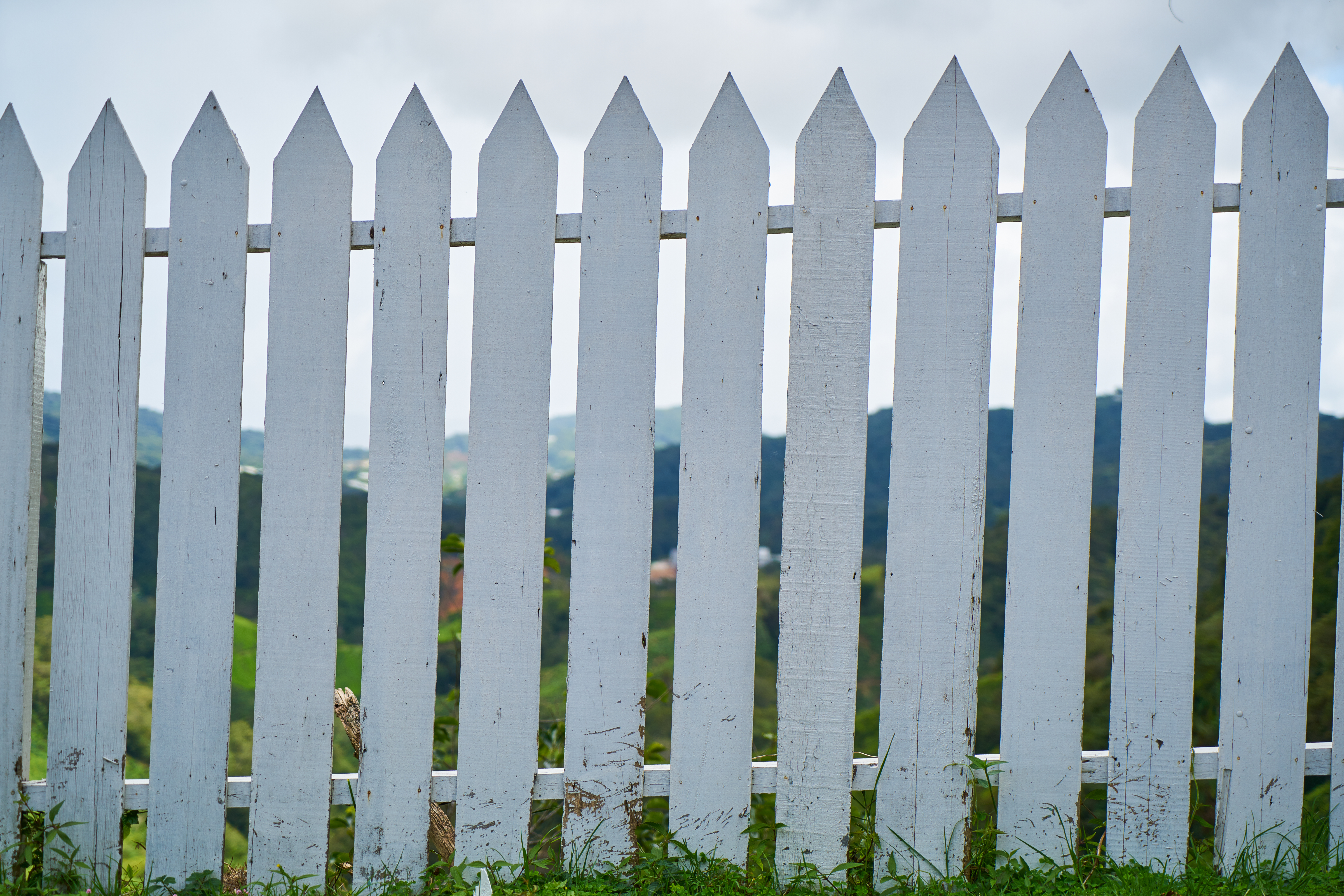 Fence Installation