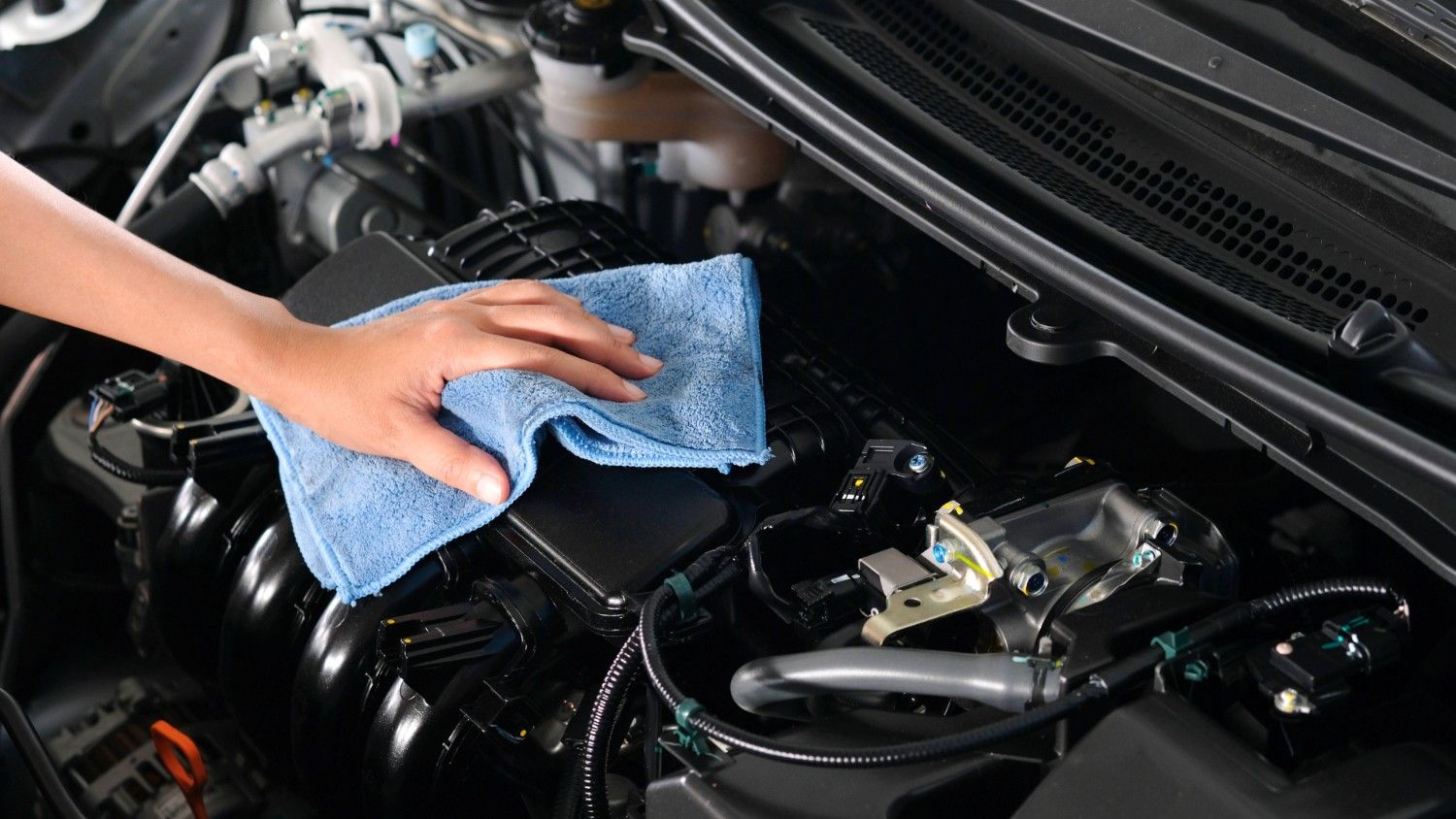 Engine Bay Cleaning in Argyle