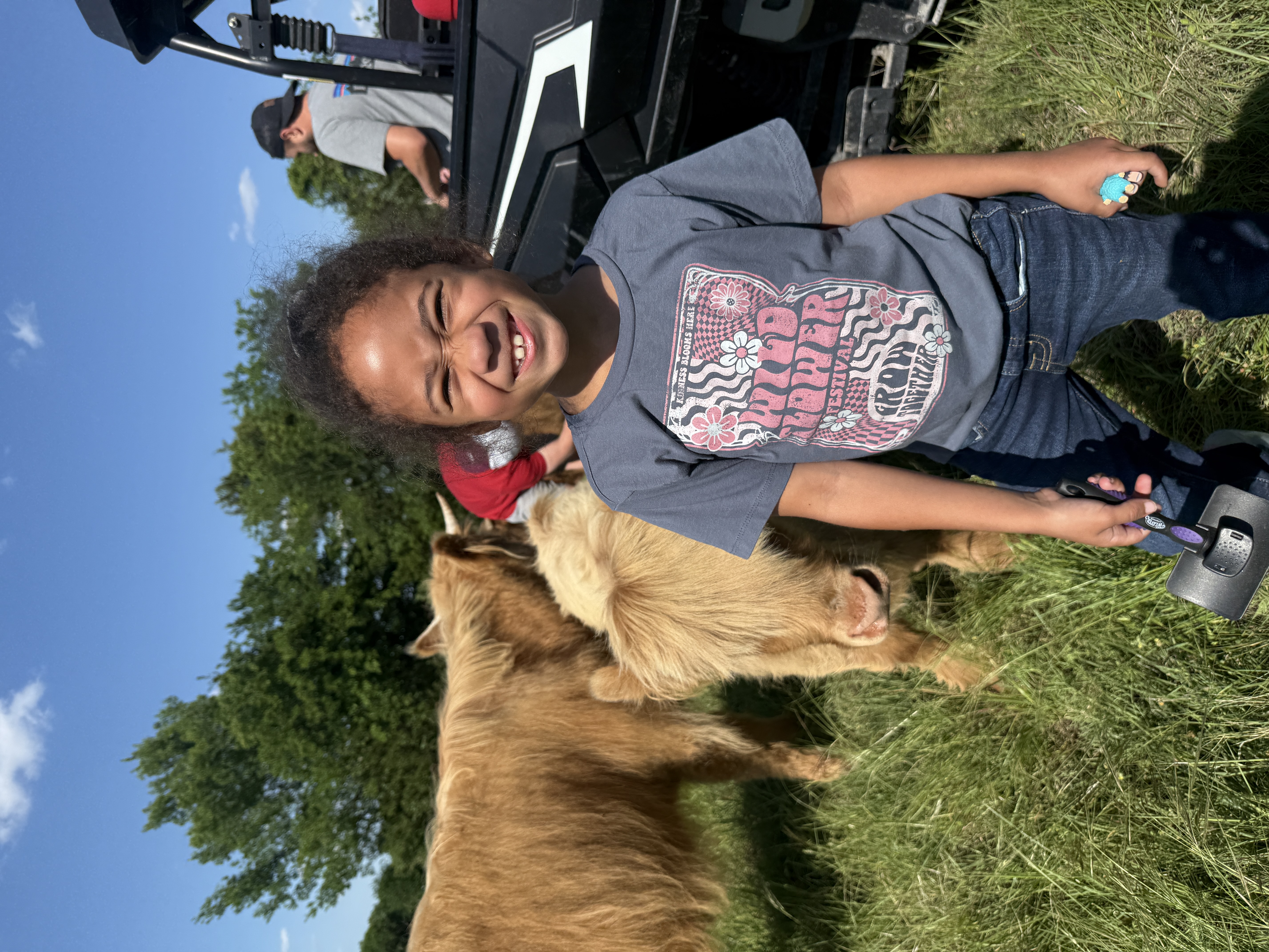 Toddler meeting a Highland calf