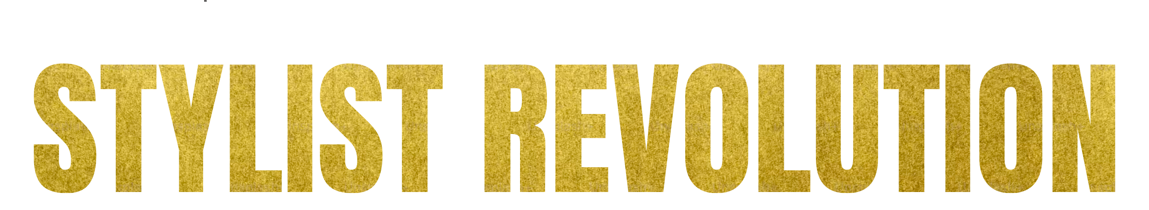 Stylist (R)evolution