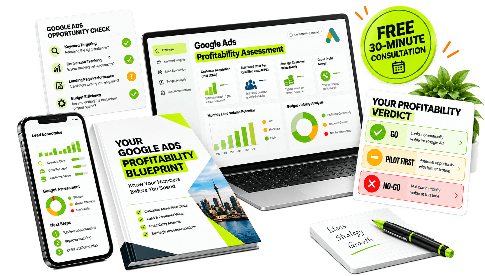 Google Ads Profitability Consultation