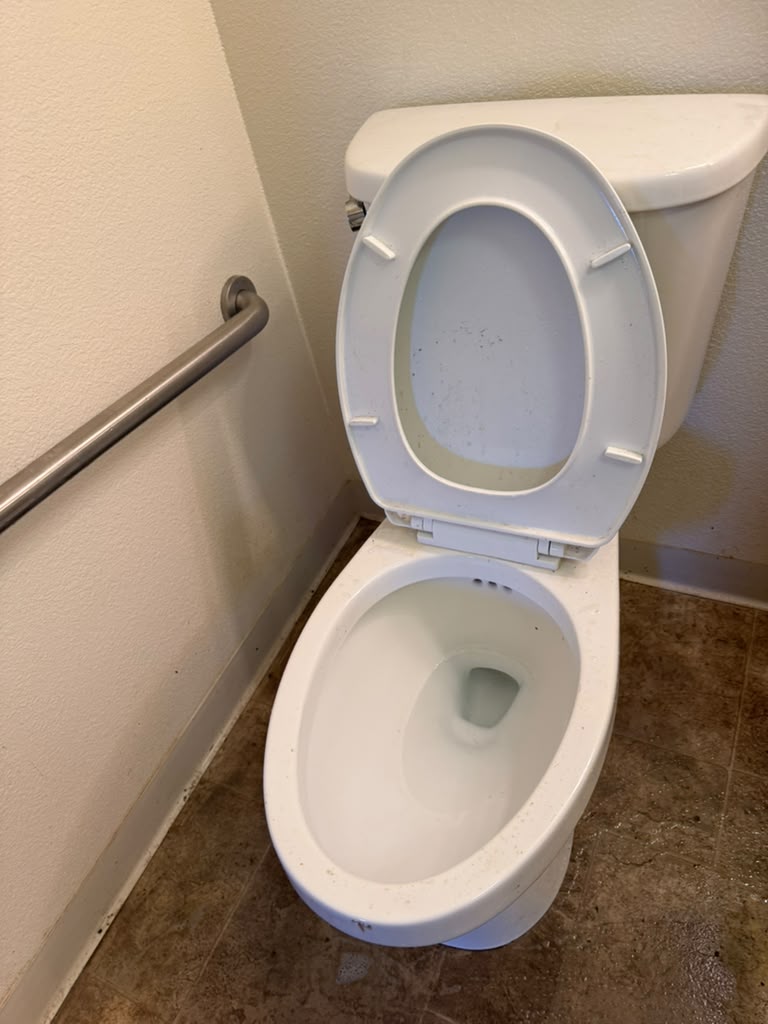 Toilet before cleaning, detail view