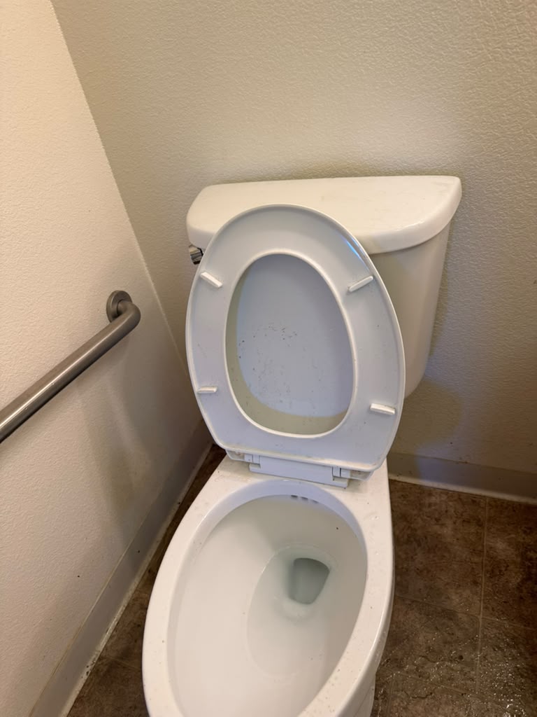 Toilet before cleaning, second view