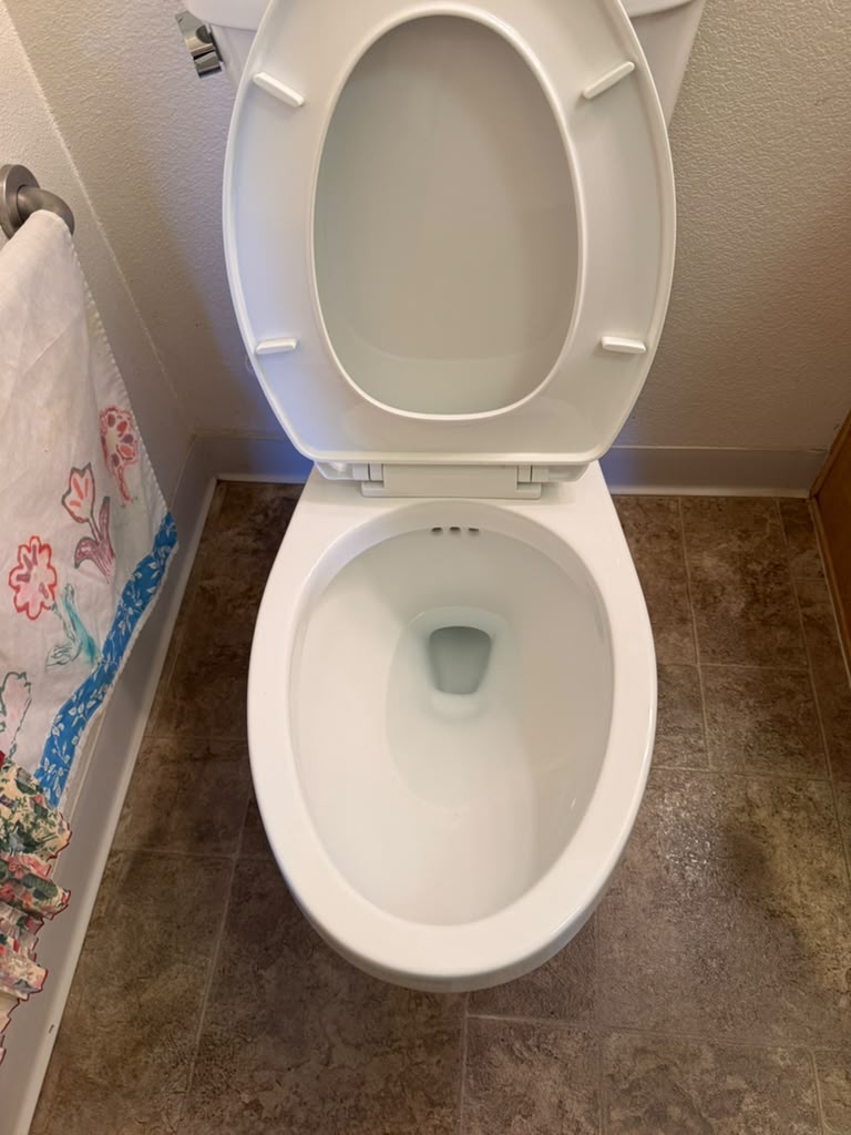 Toilet after cleaning, first view