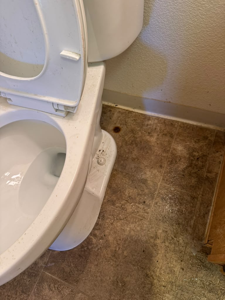 Toilet before cleaning, first view