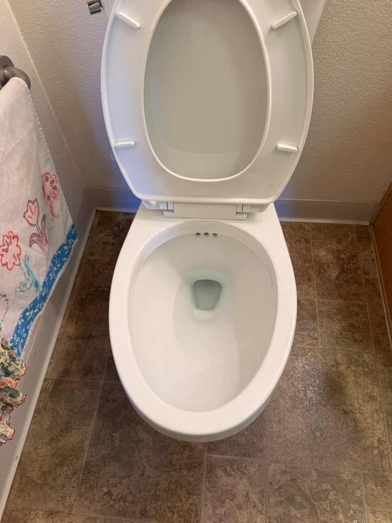 Toilet after cleaning, second view