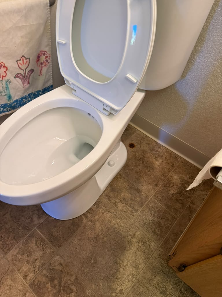 Toilet after cleaning, detail view