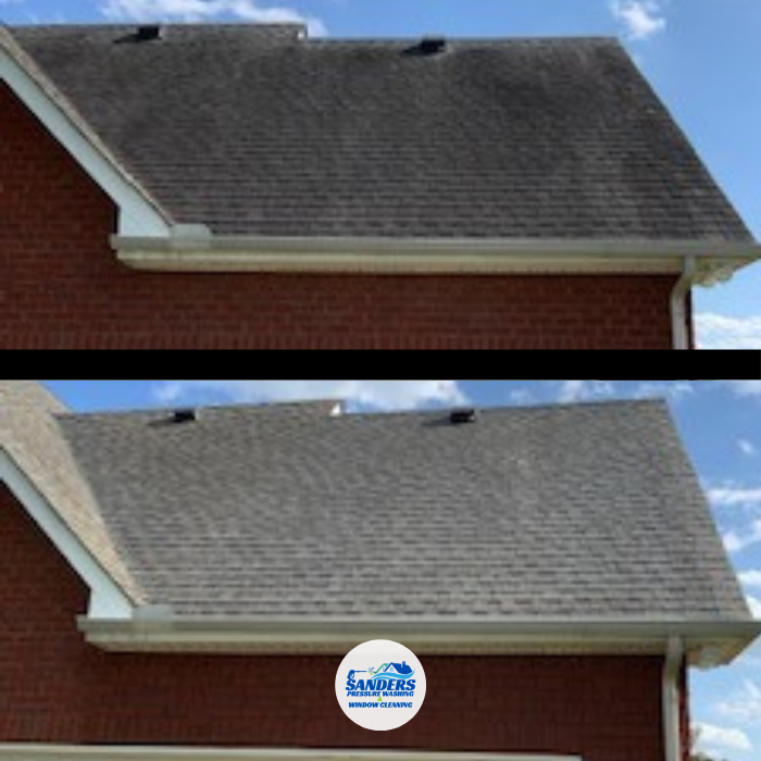 Roof Cleaning