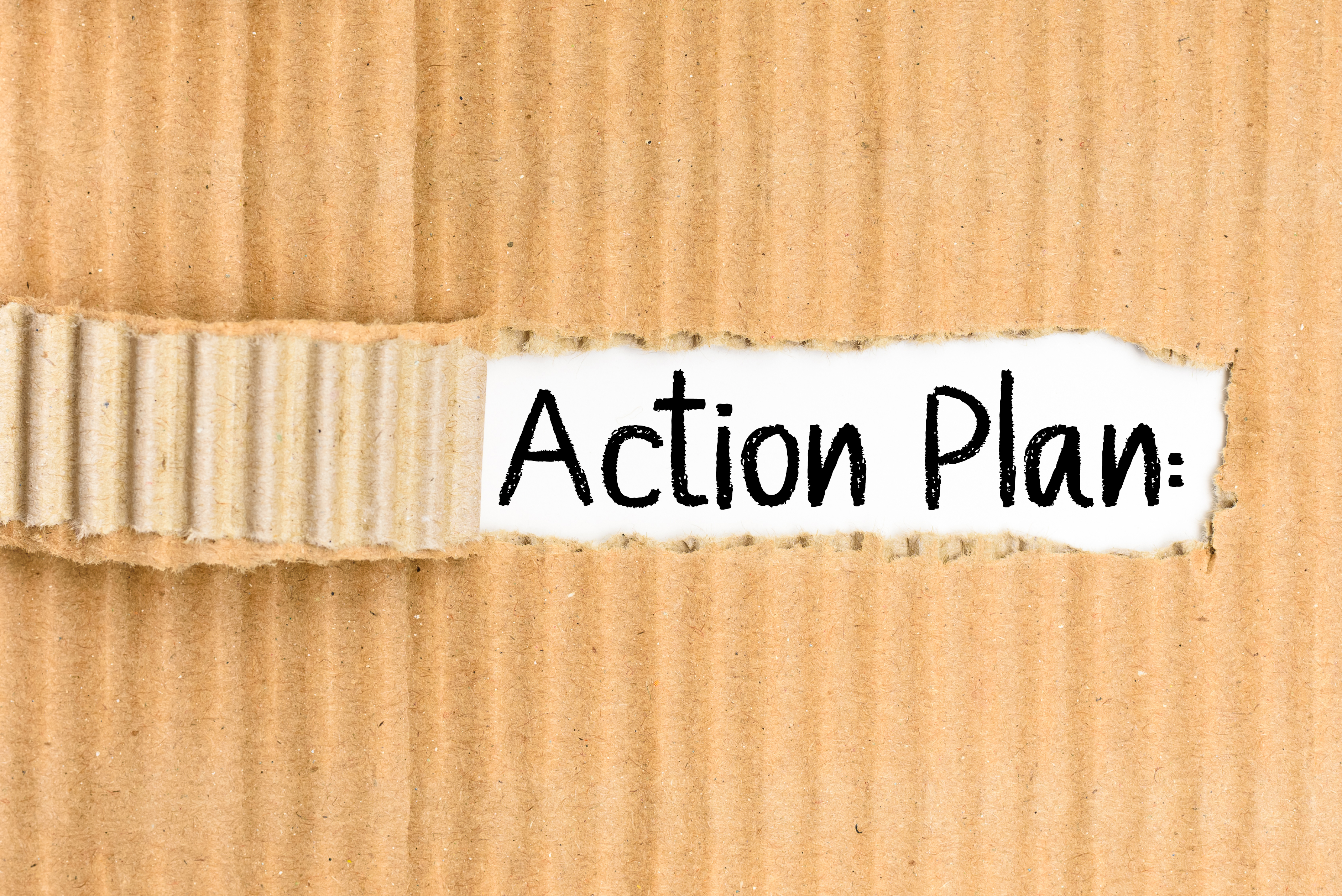 Action Plan