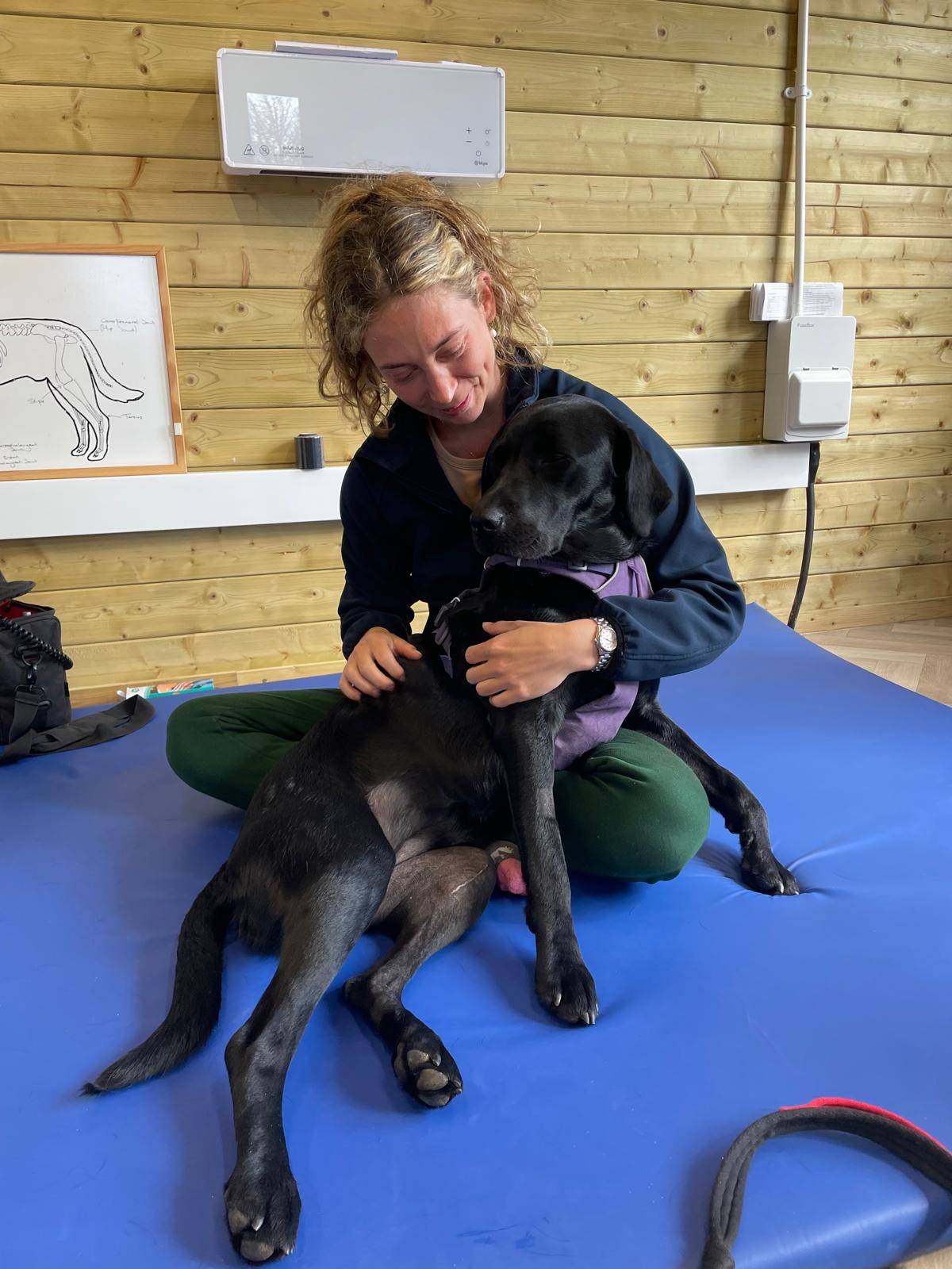 Canine physiotherapy Cornwall